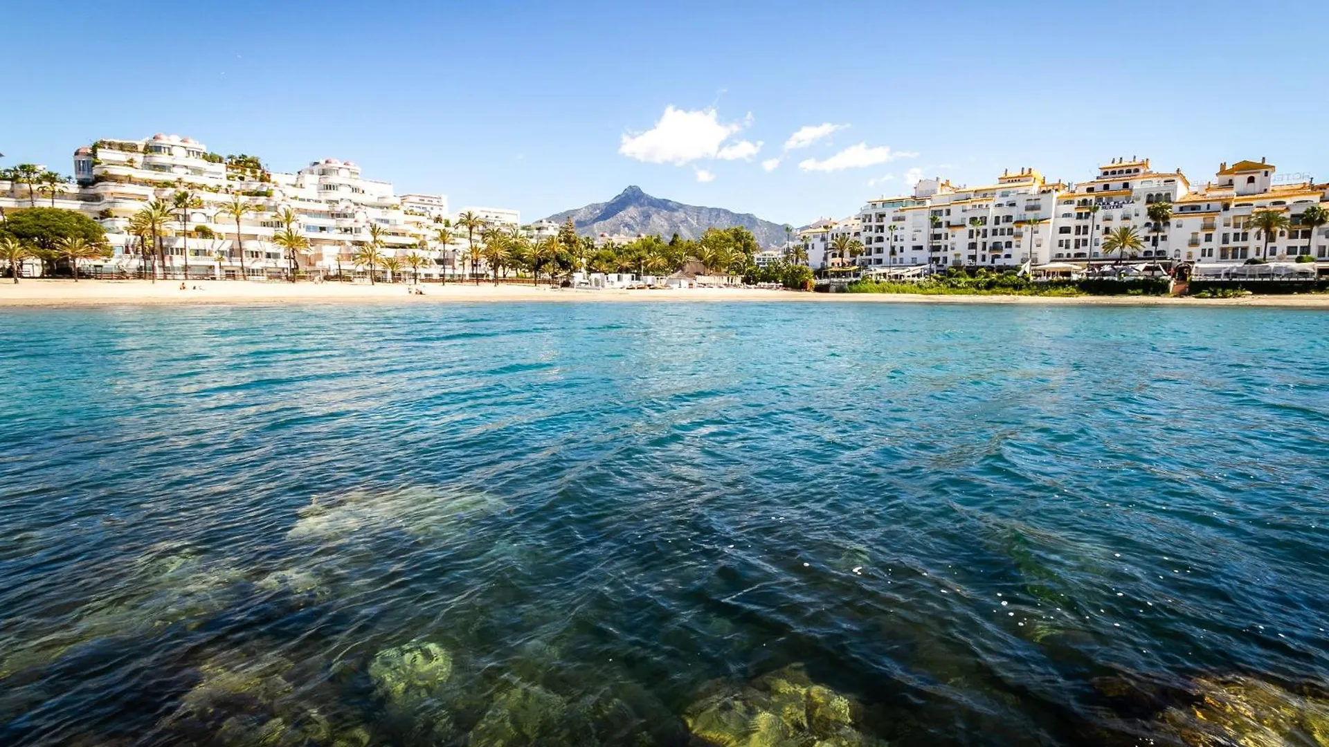 Marbella Banus Suites - Banus Playas Del Duque Beachside Residential