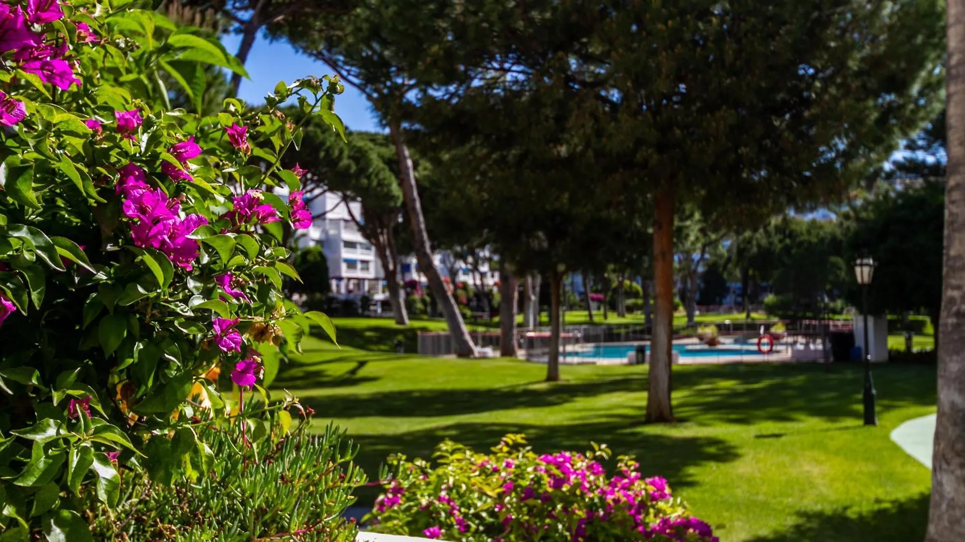 Marbella Banus Suites - Banus Playas Del Duque Beachside Residential Apartment
